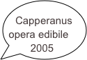 Capperanus
opera edibile 2005